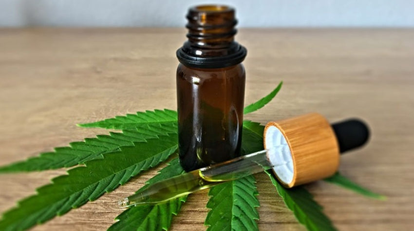 People worldwide are now using CBD for focus and concentration, and preliminary research suggests that these benefits are backed by science.