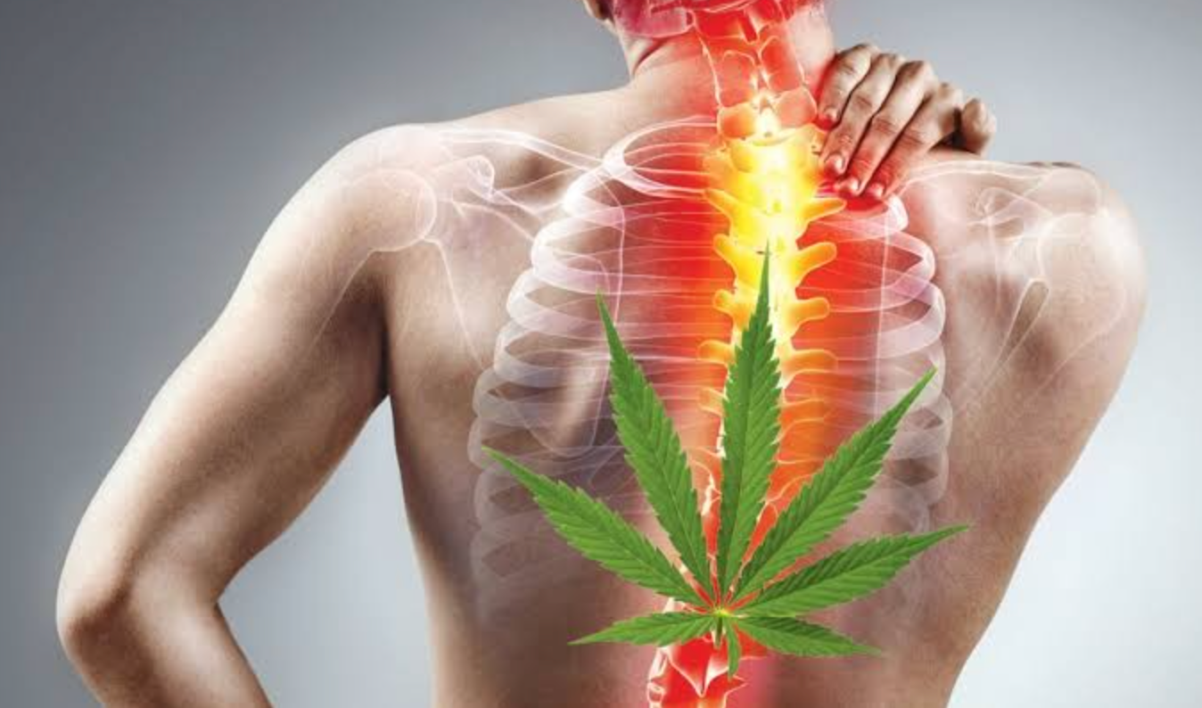 Cannabinoids: A Natural Approach to Relieving Chronic Pain