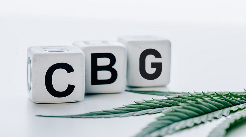 CBG concept. What Is CBG? Buy CBG oil with CBD tincture and gummies.